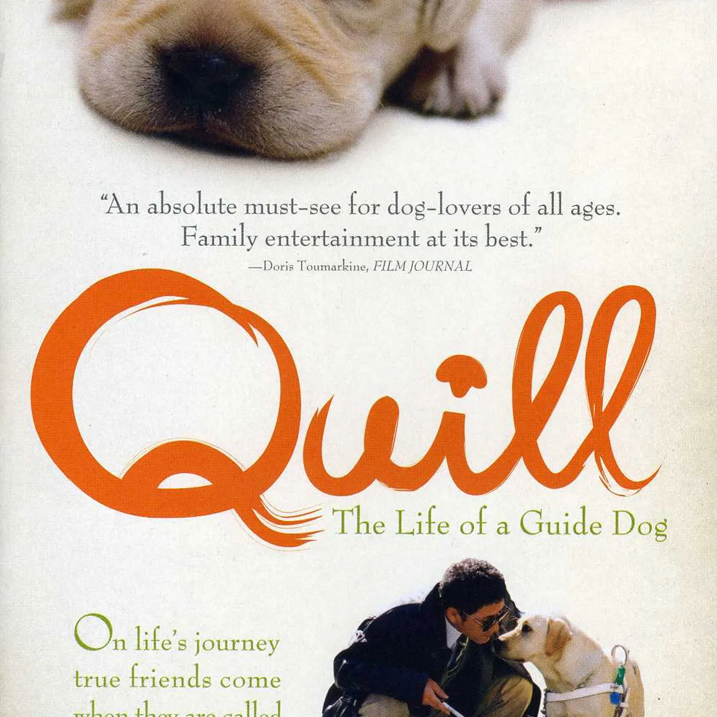 Quill DVD