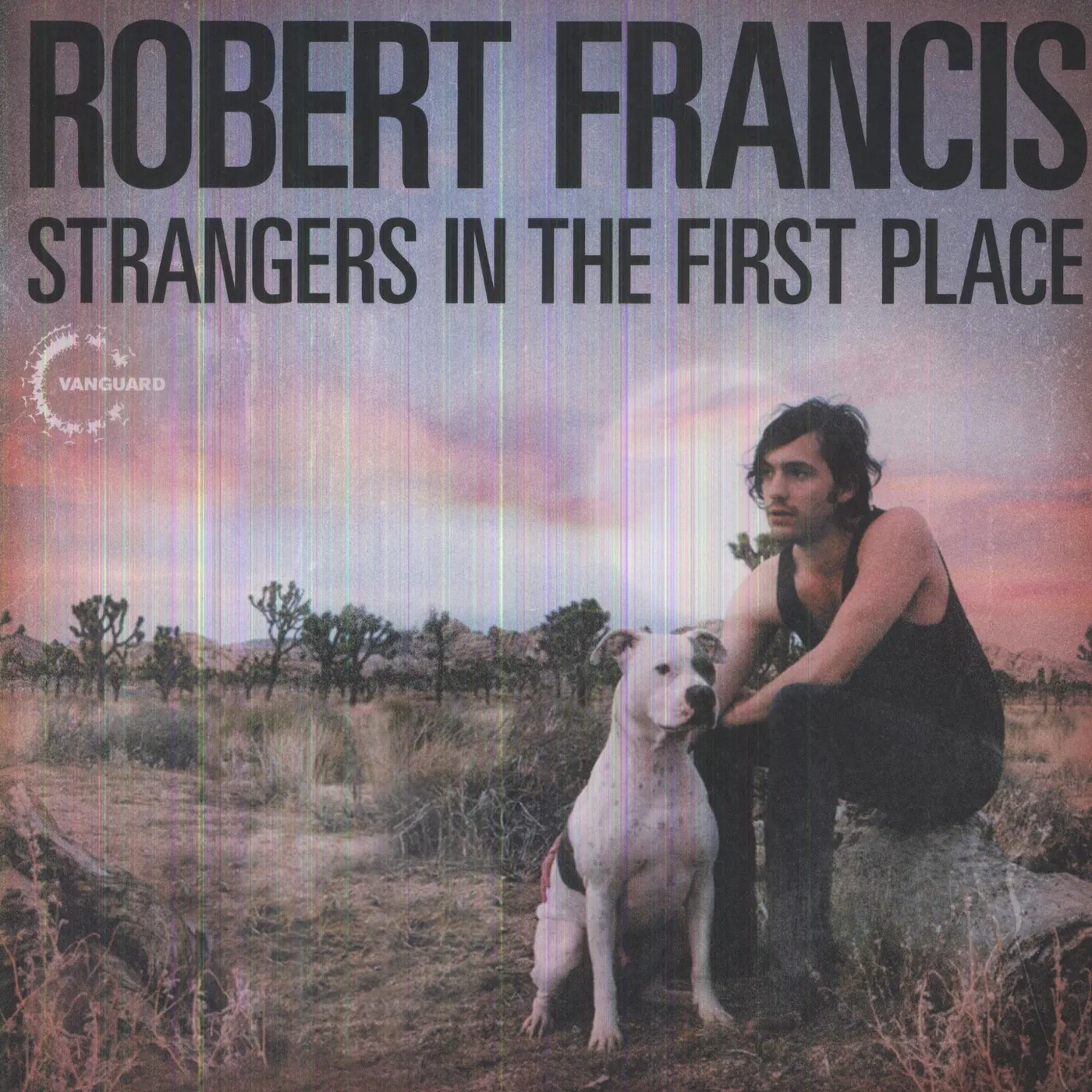 Robert Francis Strangers In The First Place Vinyl Record