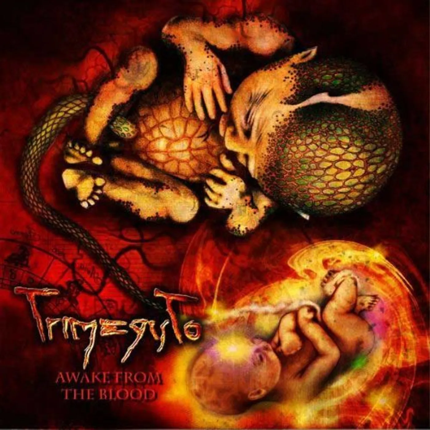 Trimegisto AWAKE FROM BLOOD CD