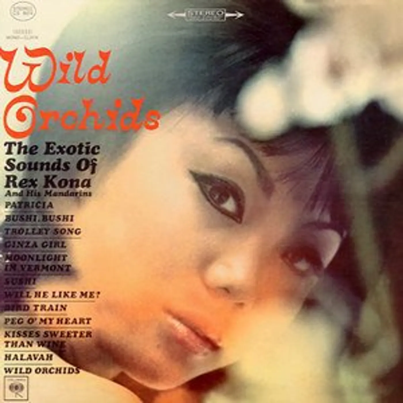 Wild Orchids EXOTIC SOUNDS OF REX Vinyl Record