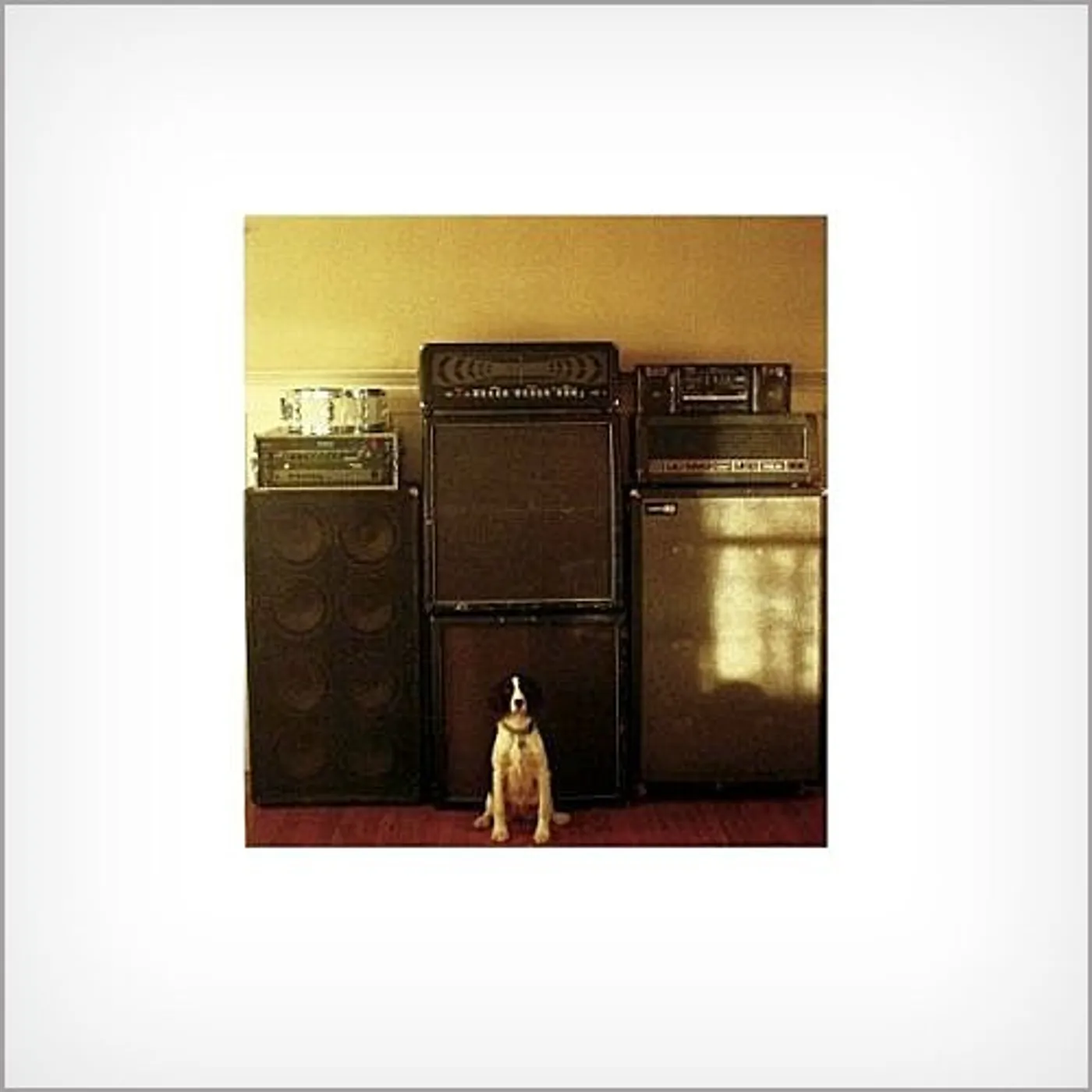 Whirr DISTRESSOR Vinyl Record - Colored Vinyl