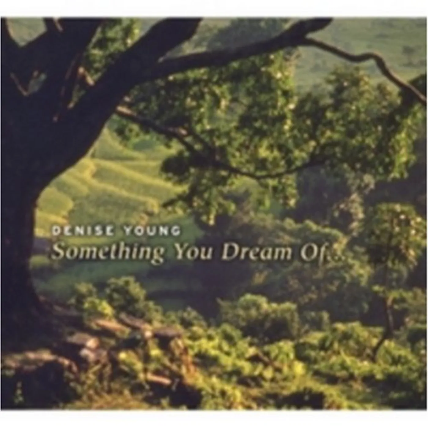 Denise Young SOMETHING YOU DREAM OF CD