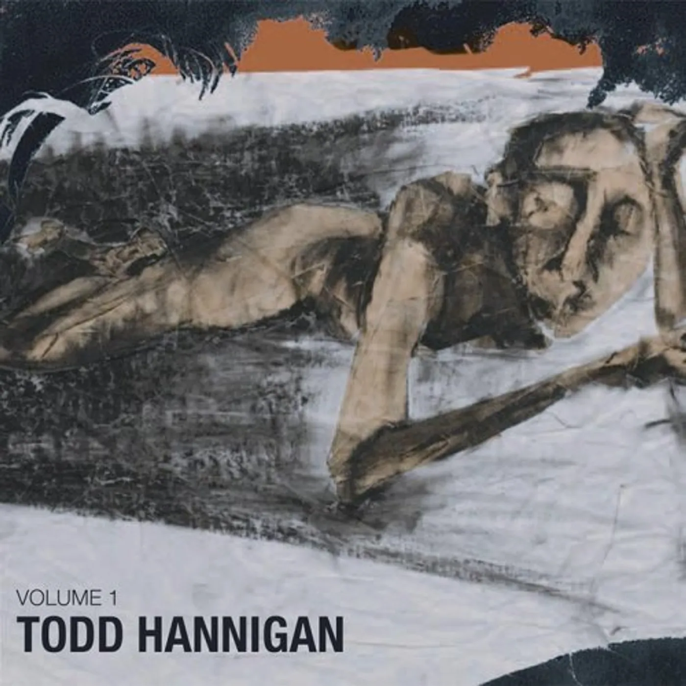 Todd Hannigan VOLUME 1 CD