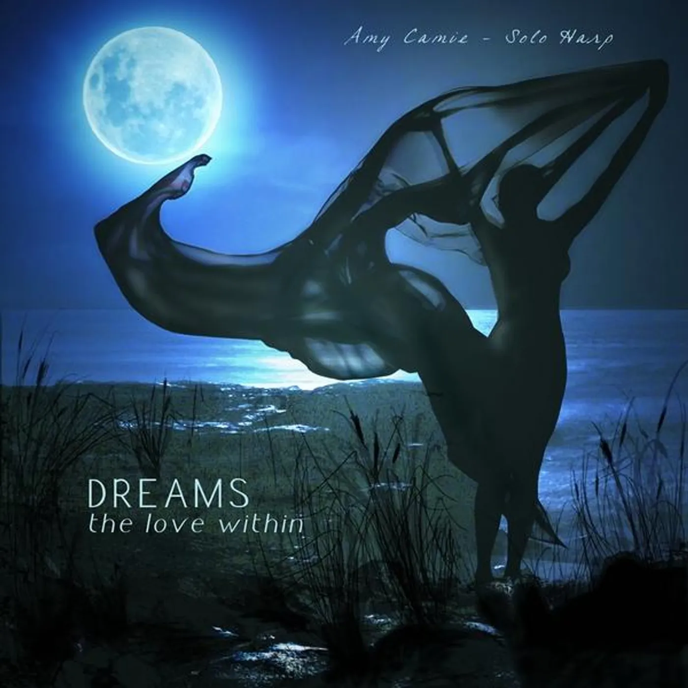 Amy Camie DREAMS: LOVE WITHIN CD
