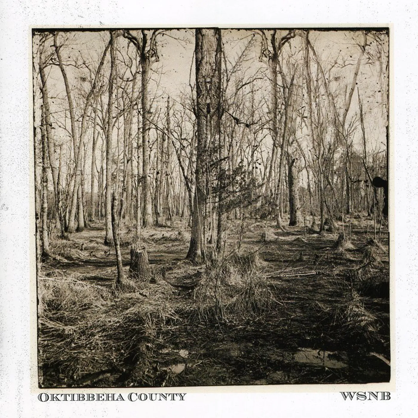 WSNB OKTIBBEHA COUNTY CD