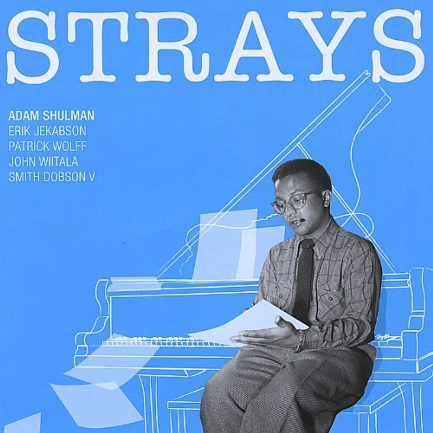 Adam Shulman STRAYS CD