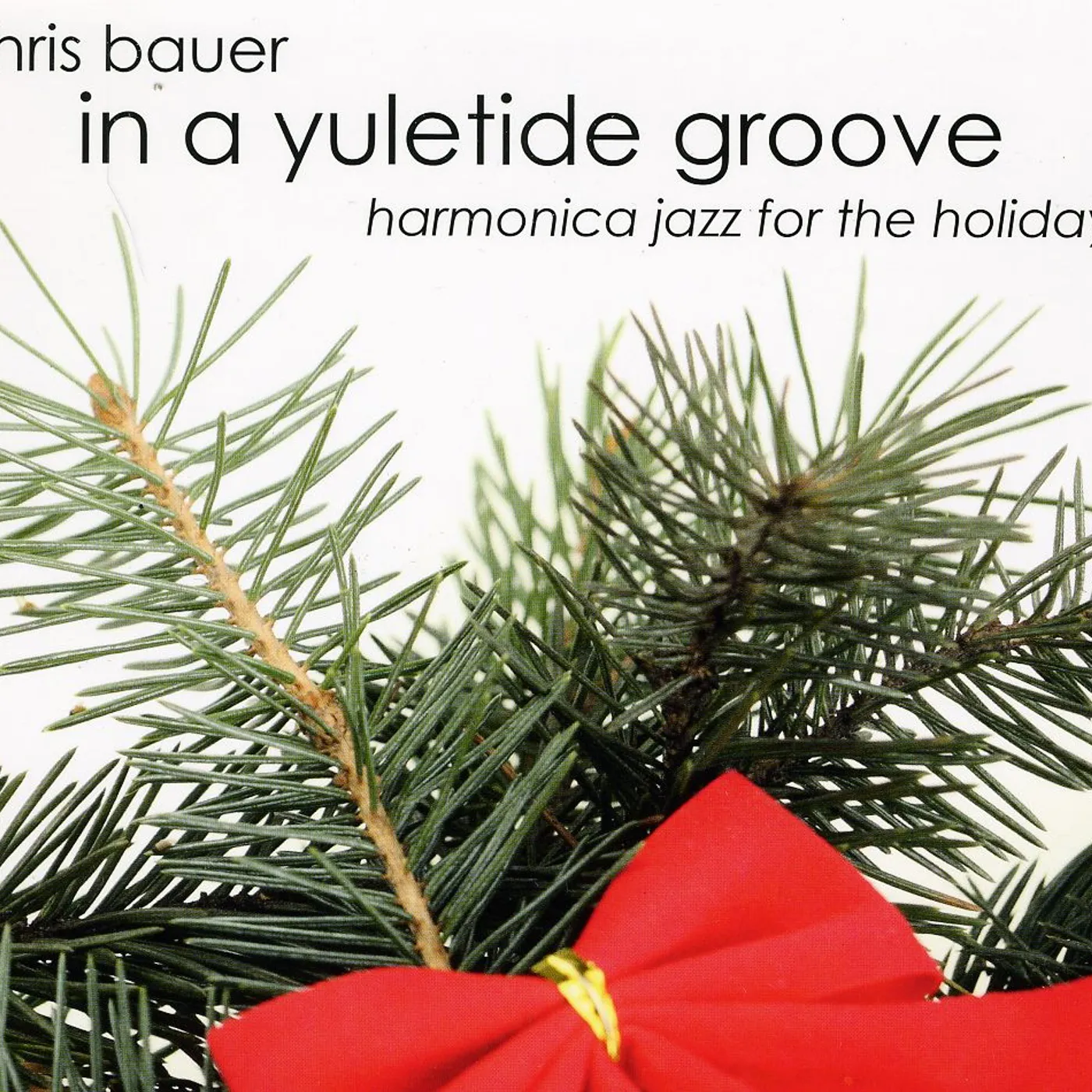 Chris Bauer IN A YULETIDE GROOVE CD