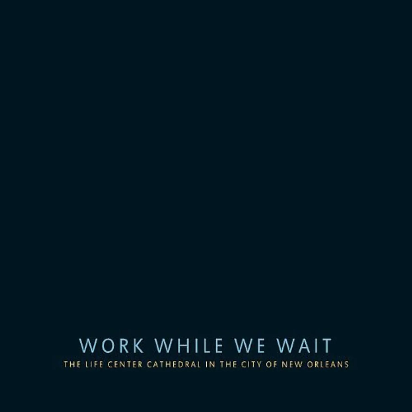 Sounds Of Life WORK WHILE WE WAIT CD