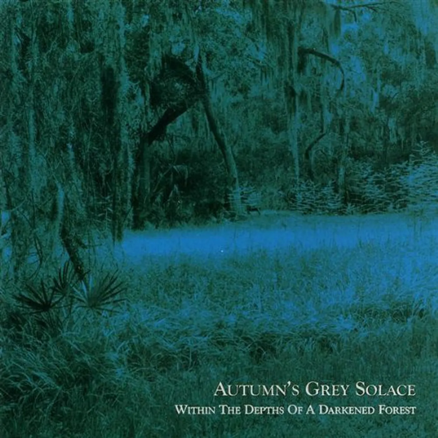 Autumn's Grey Solace WITHIN THE DEPTHS OF A DARKENED FOREST CD