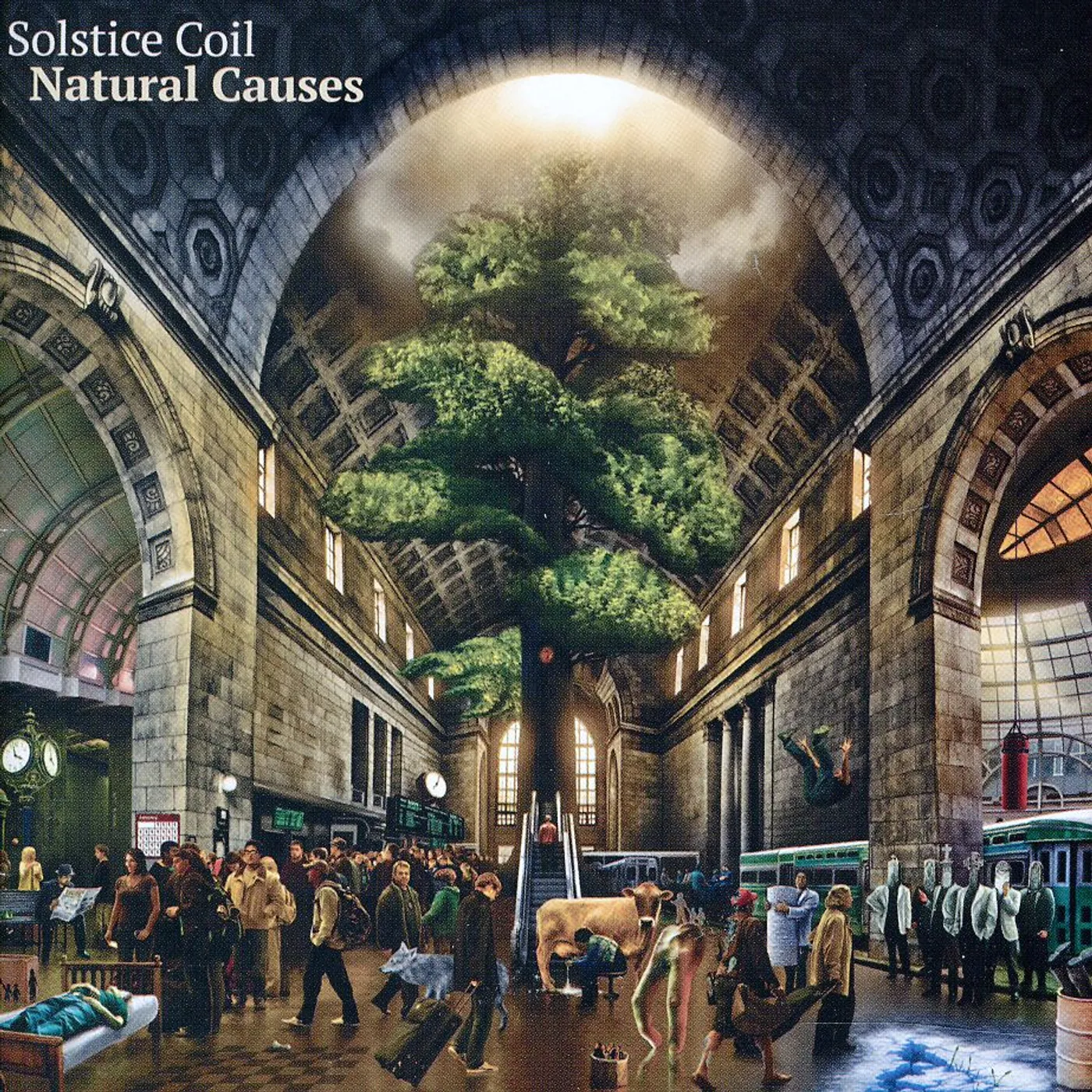 Solstice Coil NATURAL CAUSES CD