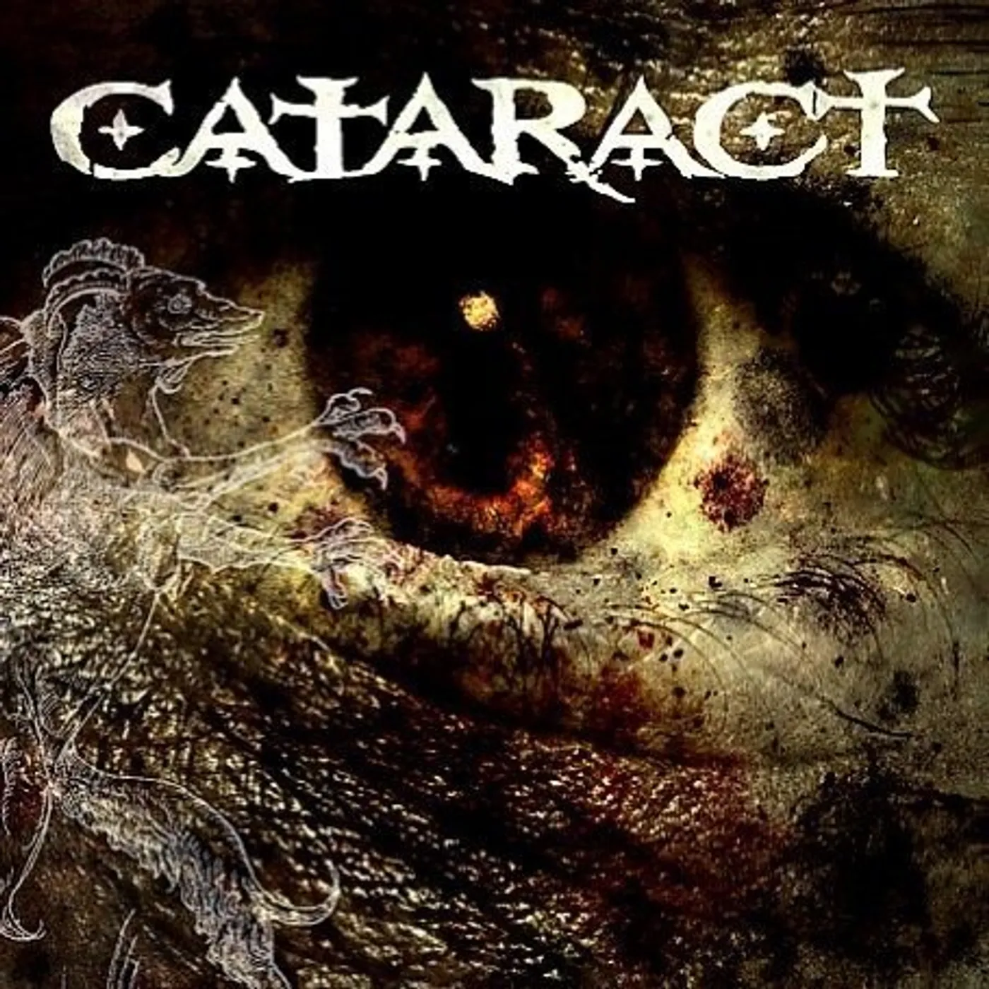 Cataract Vinyl Record