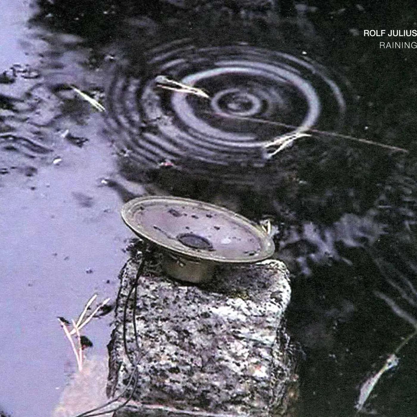 Rolf Julius RAINING CD