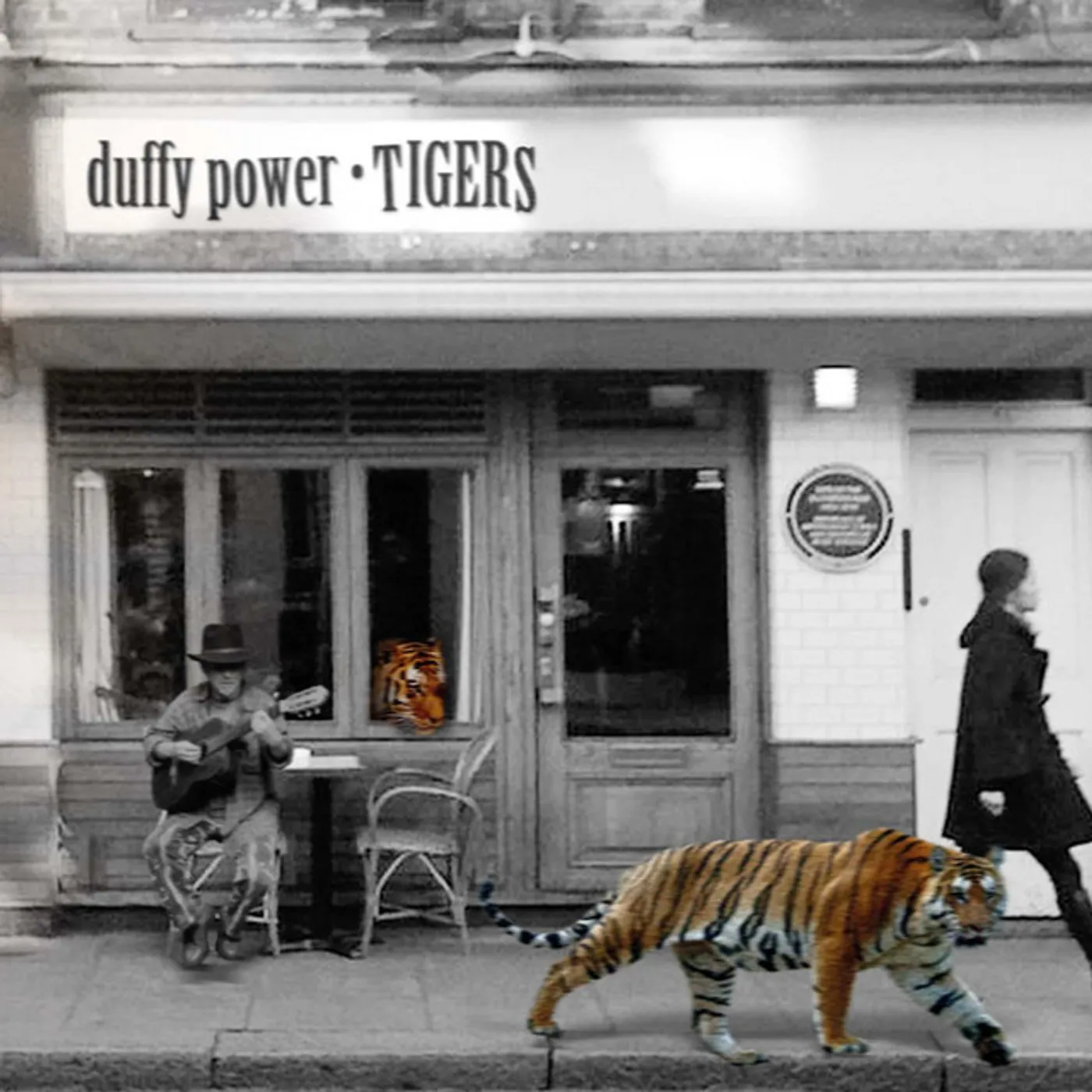 Duffy Power TIGERS CD