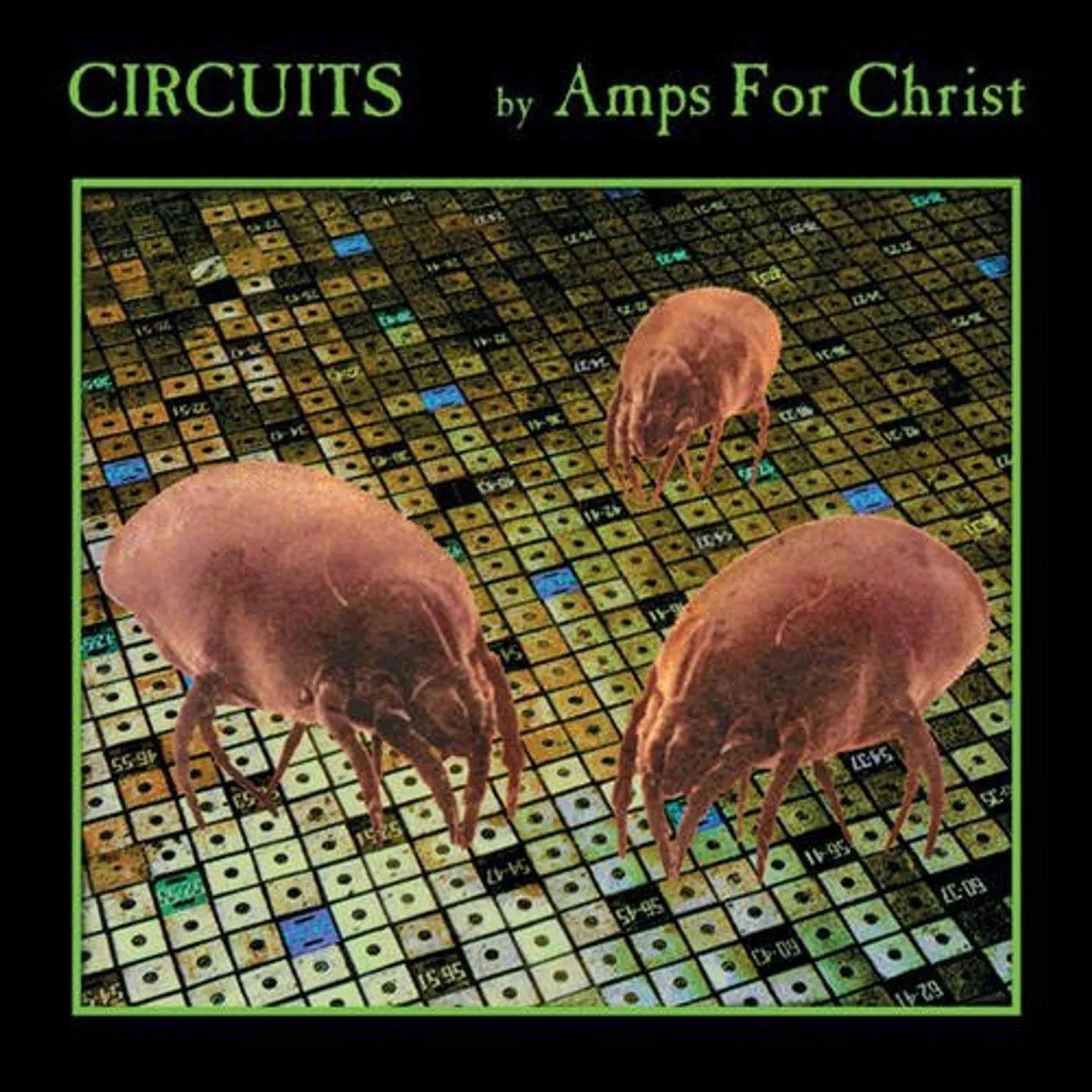 Amps For Christ Circuits Vinyl Record