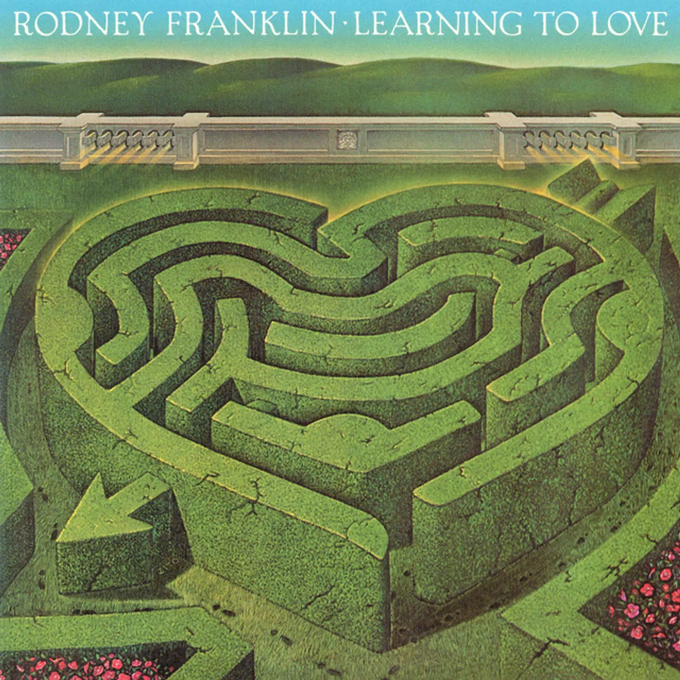 Rodney Franklin LEARNING TO LOVE CD