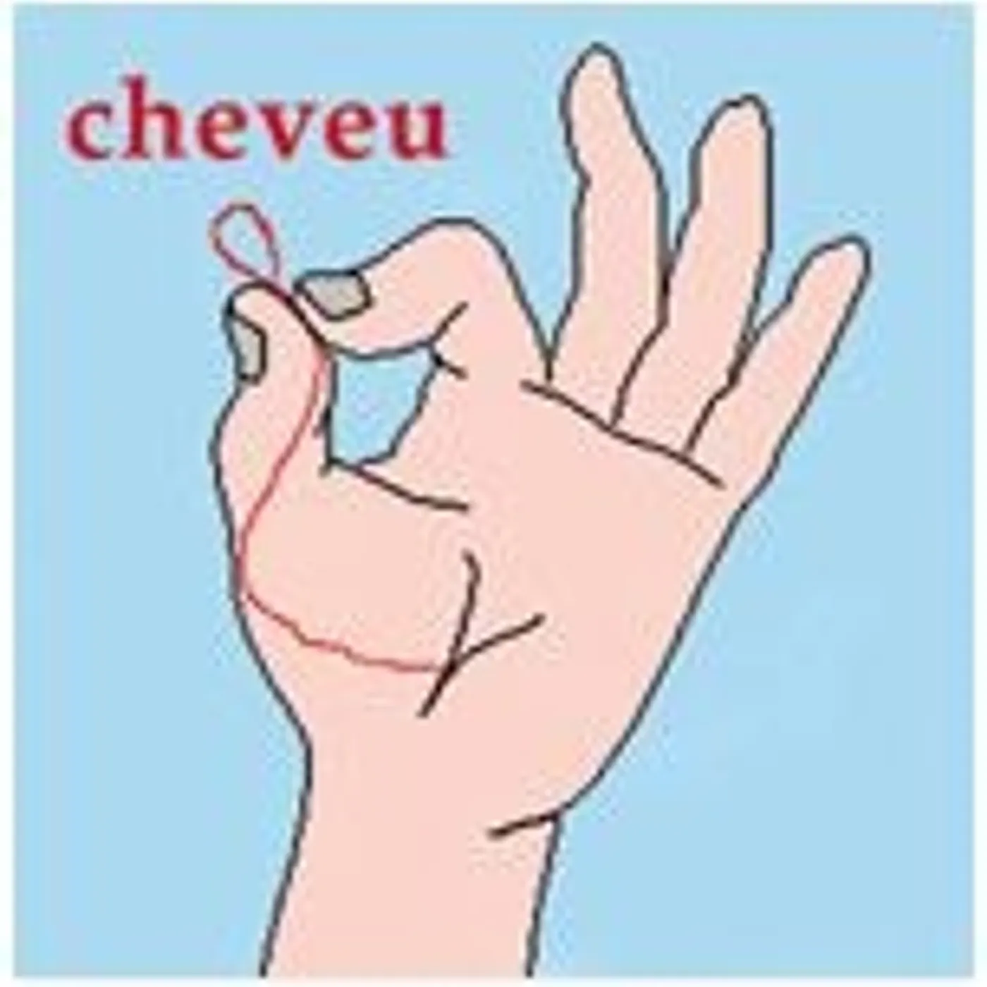 Cheveu Vinyl Record