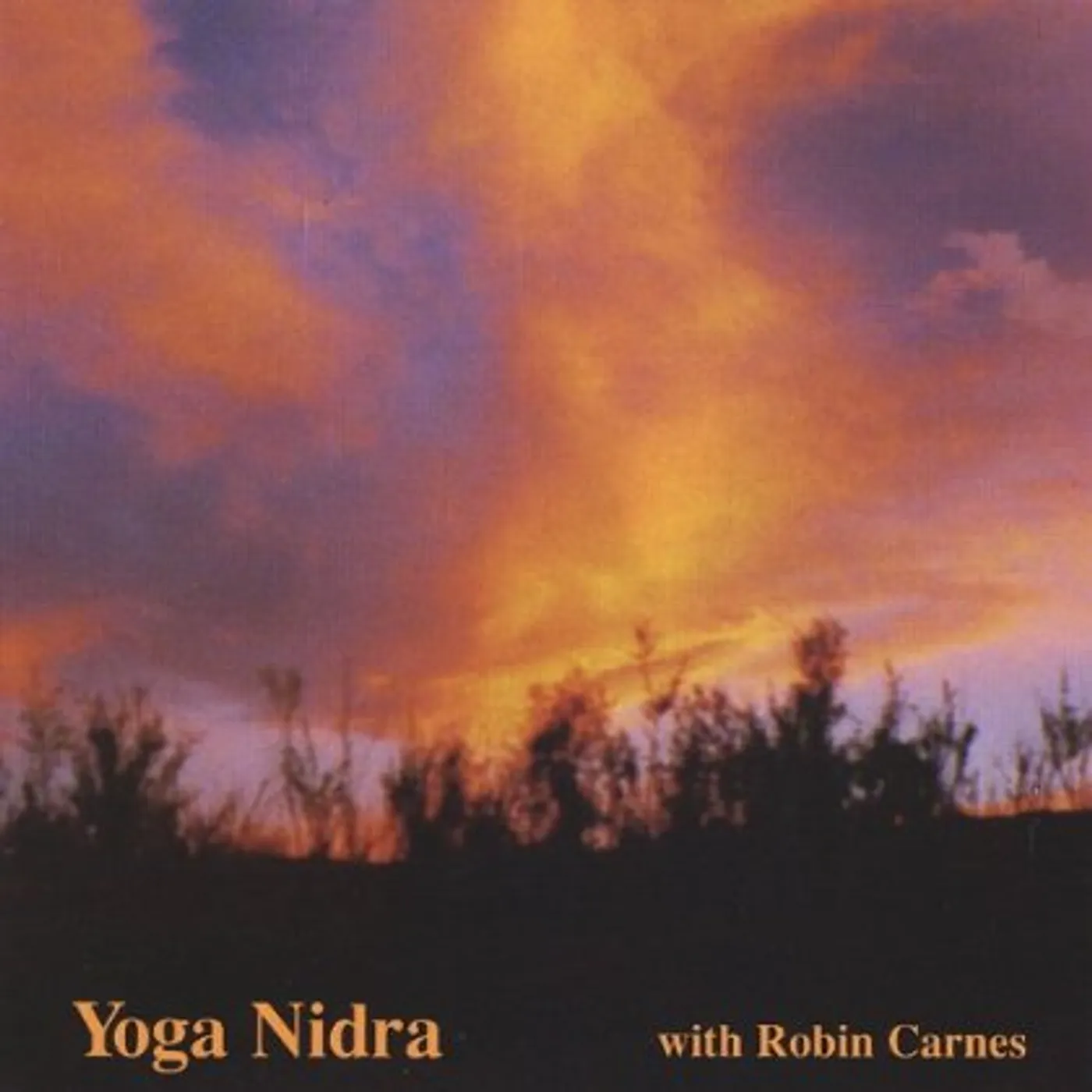 Robin Carnes YOGA NIDRA CD