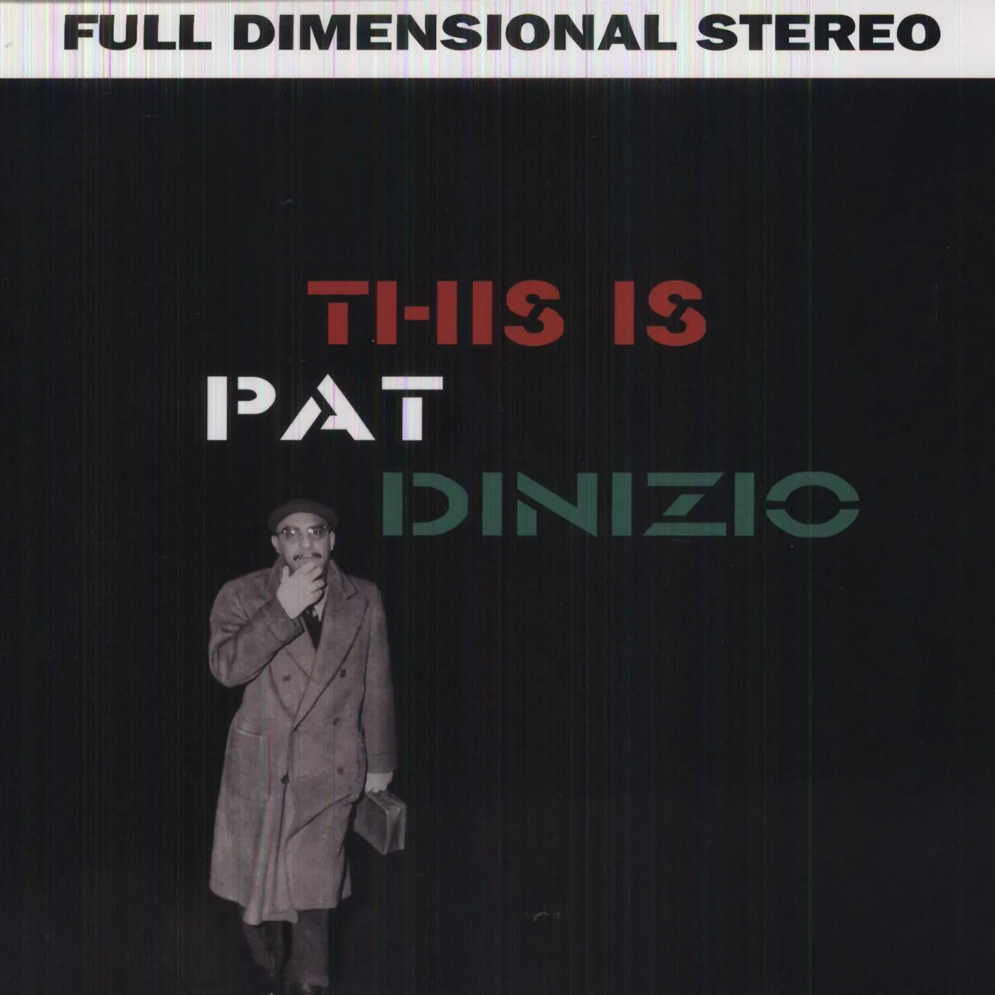 THIS IS PAT DINIZIO Vinyl Record