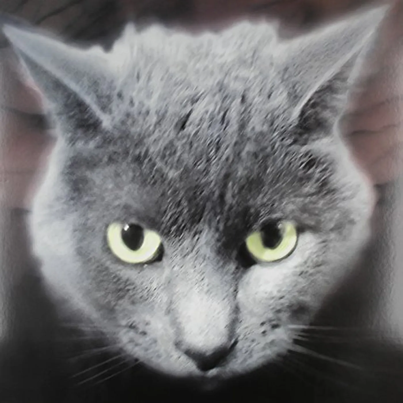 Bastards of Fate WHO'S A FUZZY BUDDY Vinyl Record
