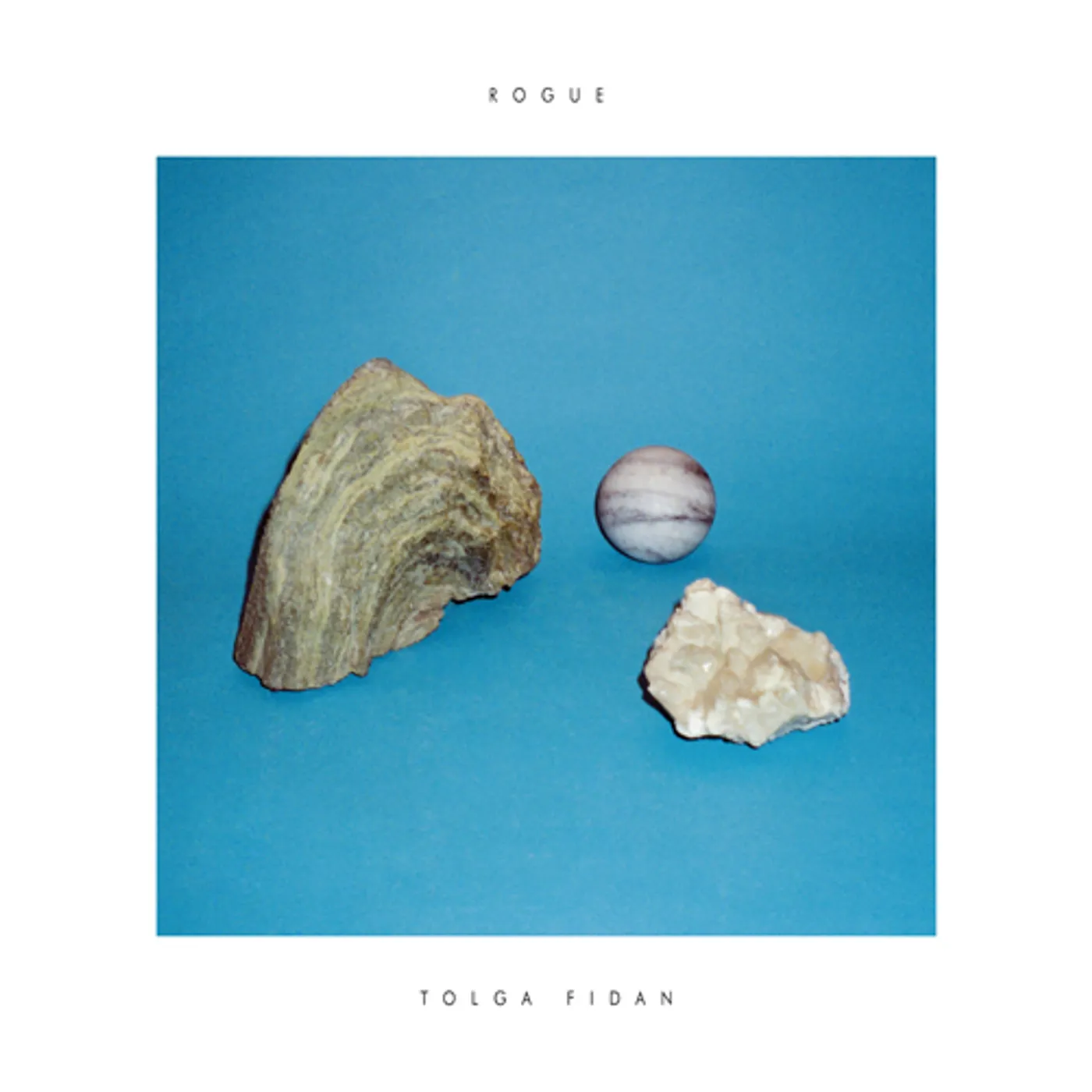 Tolga Fidan Rogue Vinyl Record