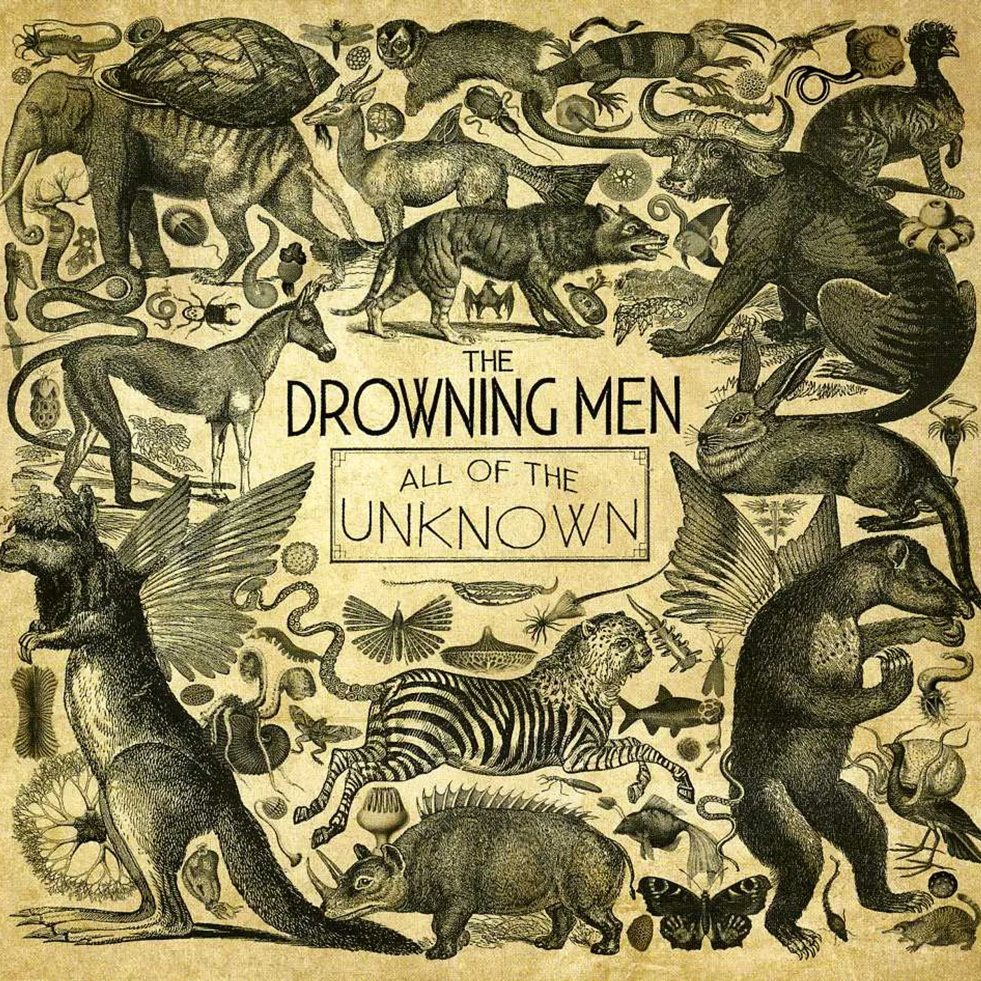 The Drowning Men ALL OF THE UNKNOWN CD
