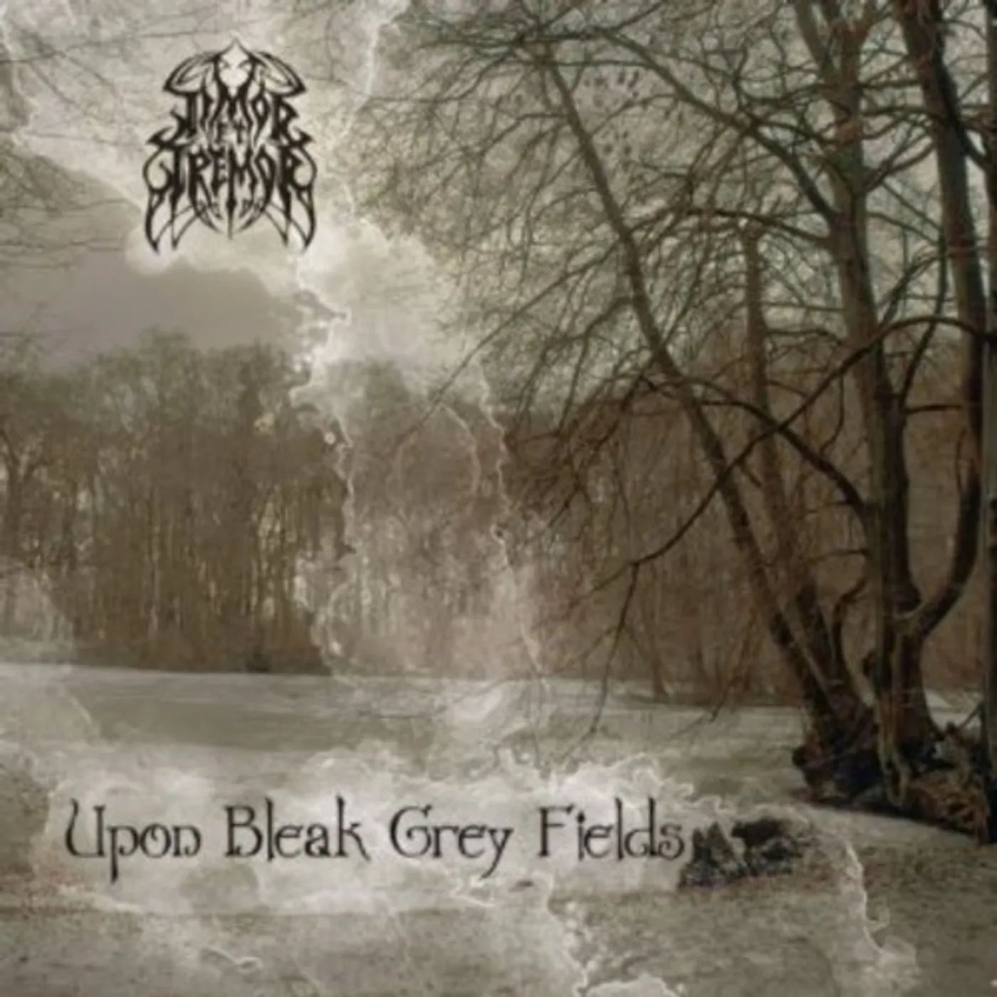 Timor et Tremor UPON BLEAK GREY FIELDS CD