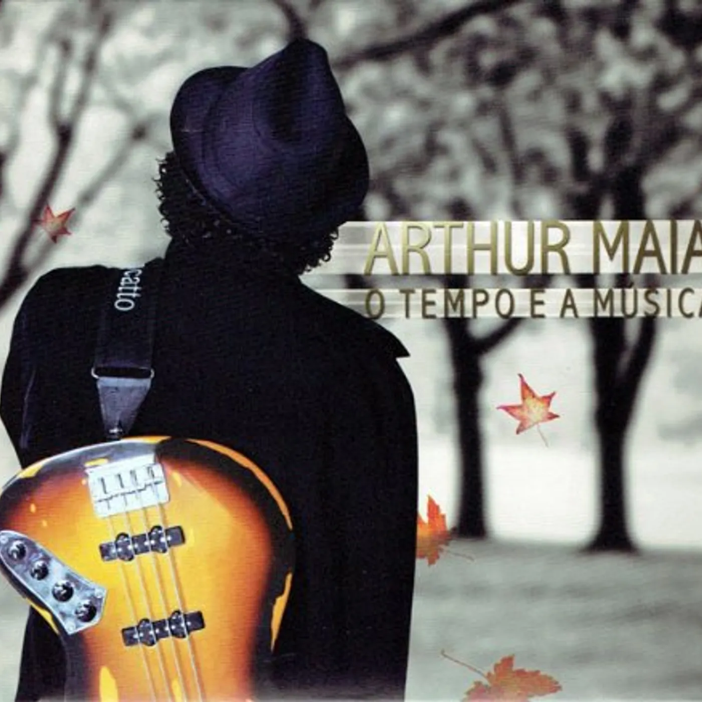 Arthur Maia TEMPO & A MUSICA CD