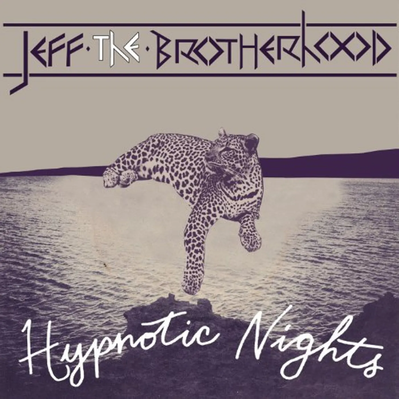 JEFF The Brotherhood HYPNOTIC NIGHTS (BONUS CD) Vinyl Record