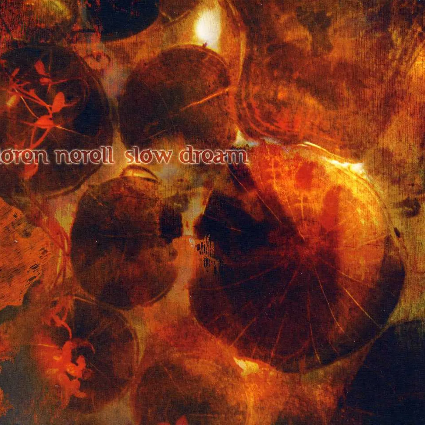Loren Nerell SLOW DREAM CD