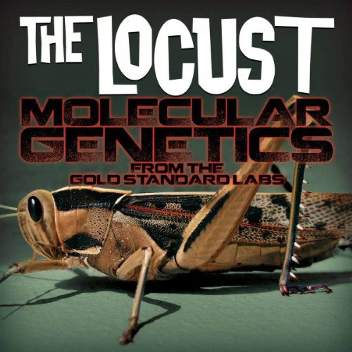 Locust Molecular Genetics From The Gold Standard Labs Vinyl Record
