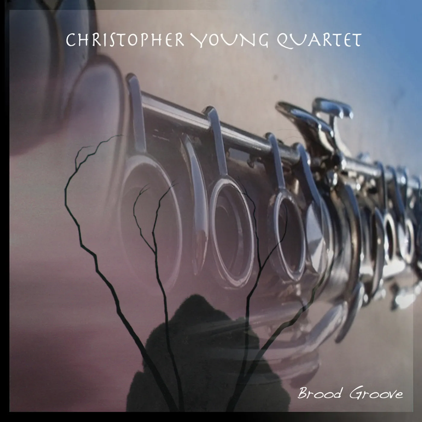 Christopher Young BROOD GROOVE CD