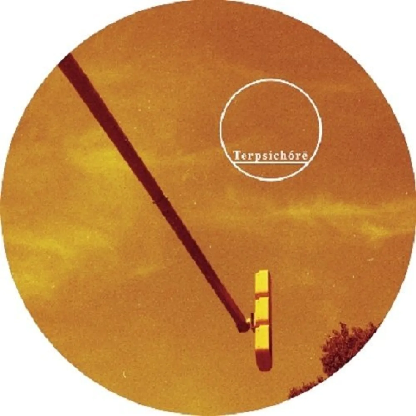 The Florian Muller Project UNUSUAL Vinyl Record