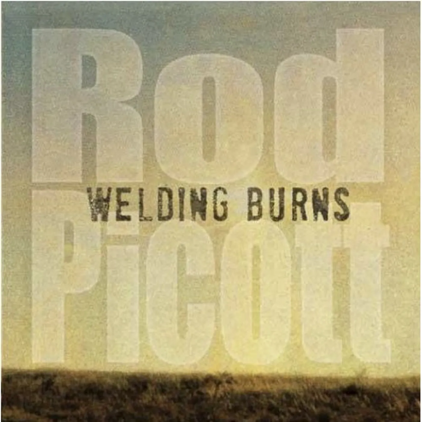 Rod Picott WELDING BURNS CD