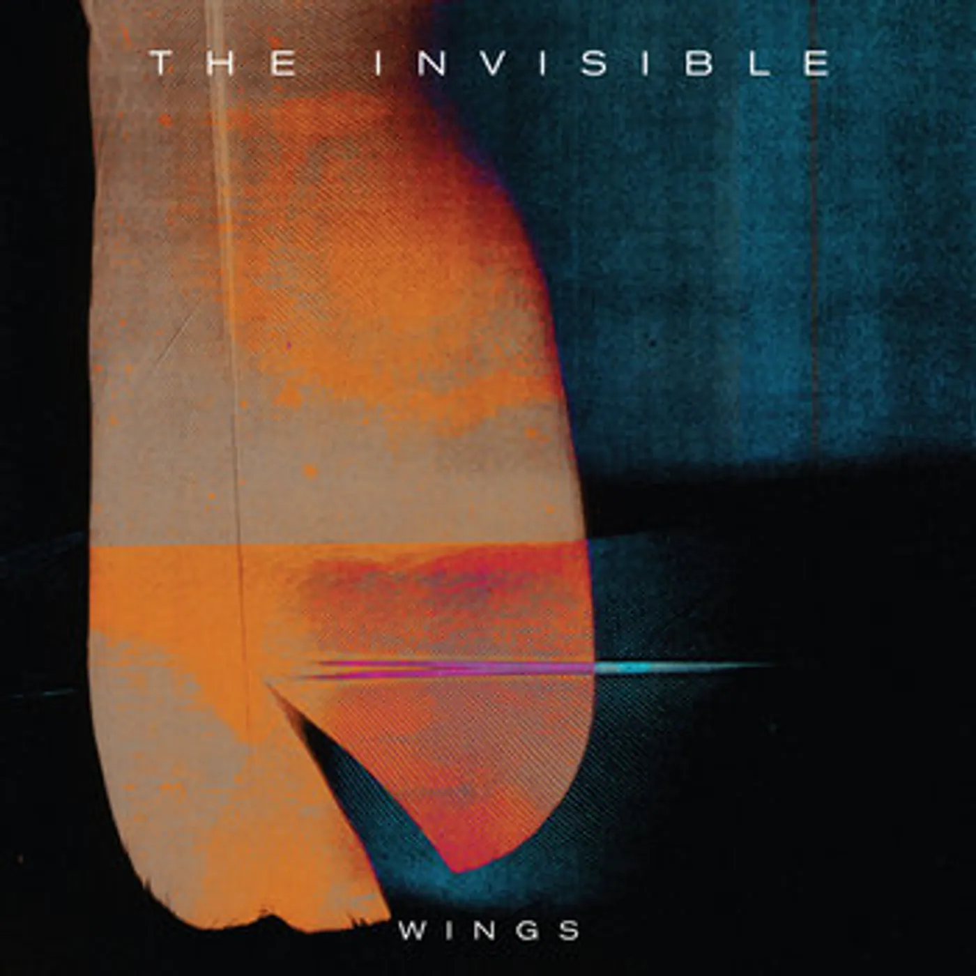 Invisible Wings Vinyl Record
