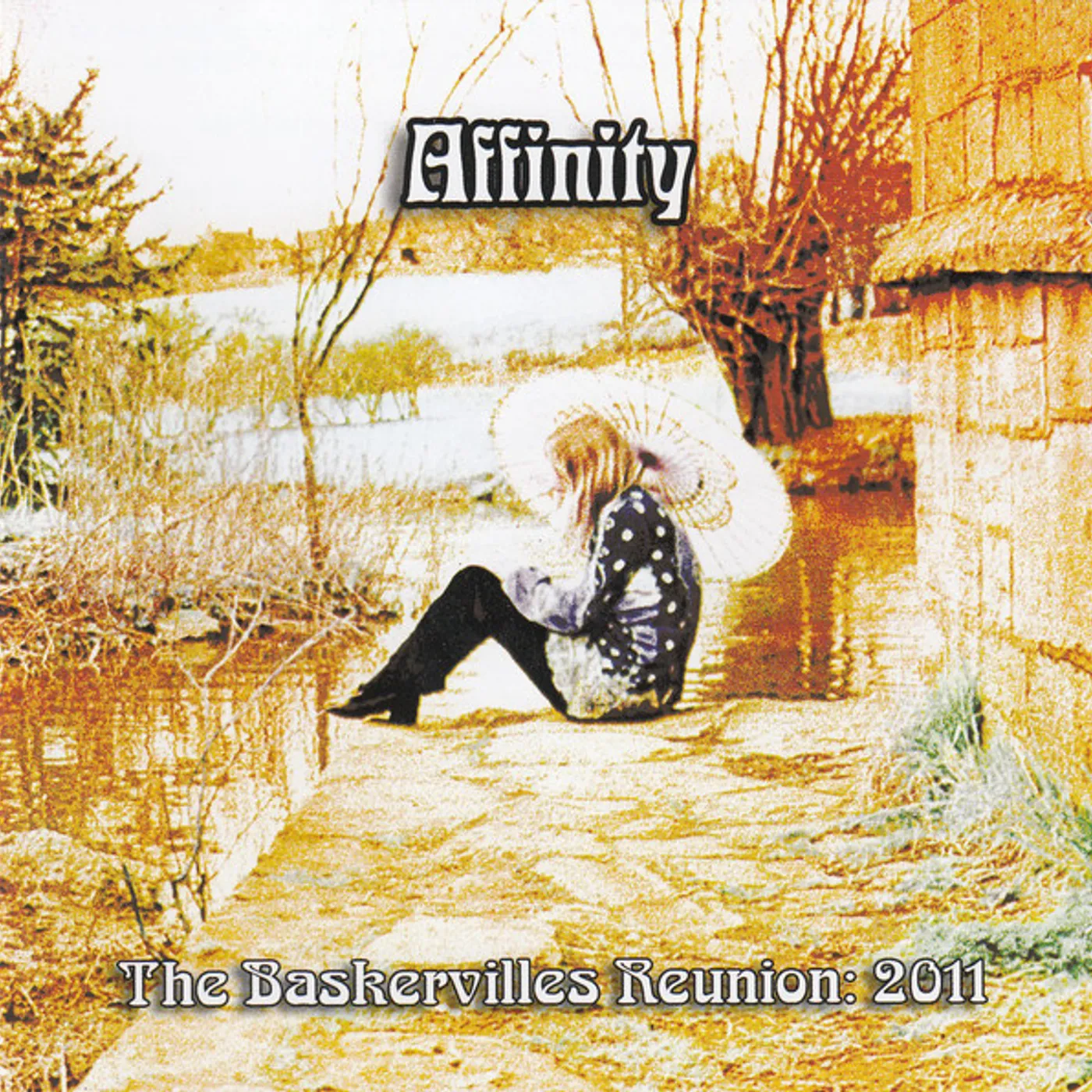 Affinity BASKERVILLES REUNION 2011 CD