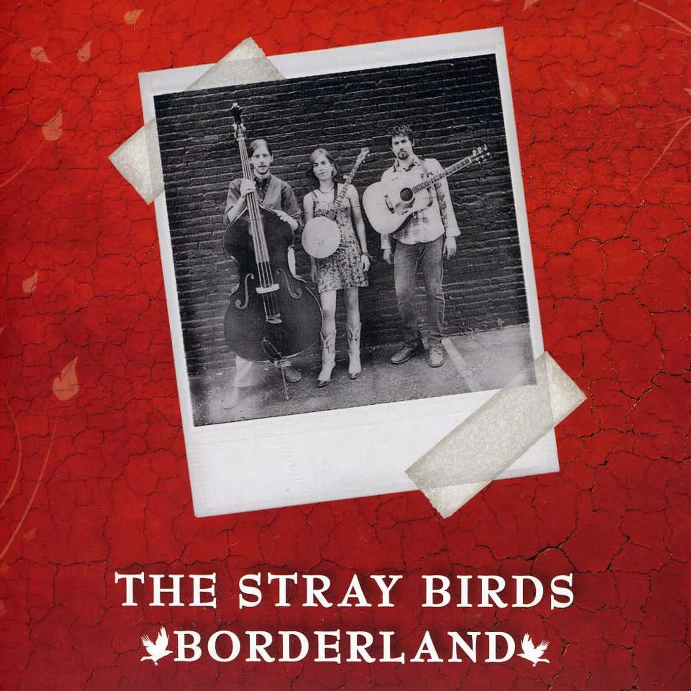 Stray Birds BORDERLAND CD