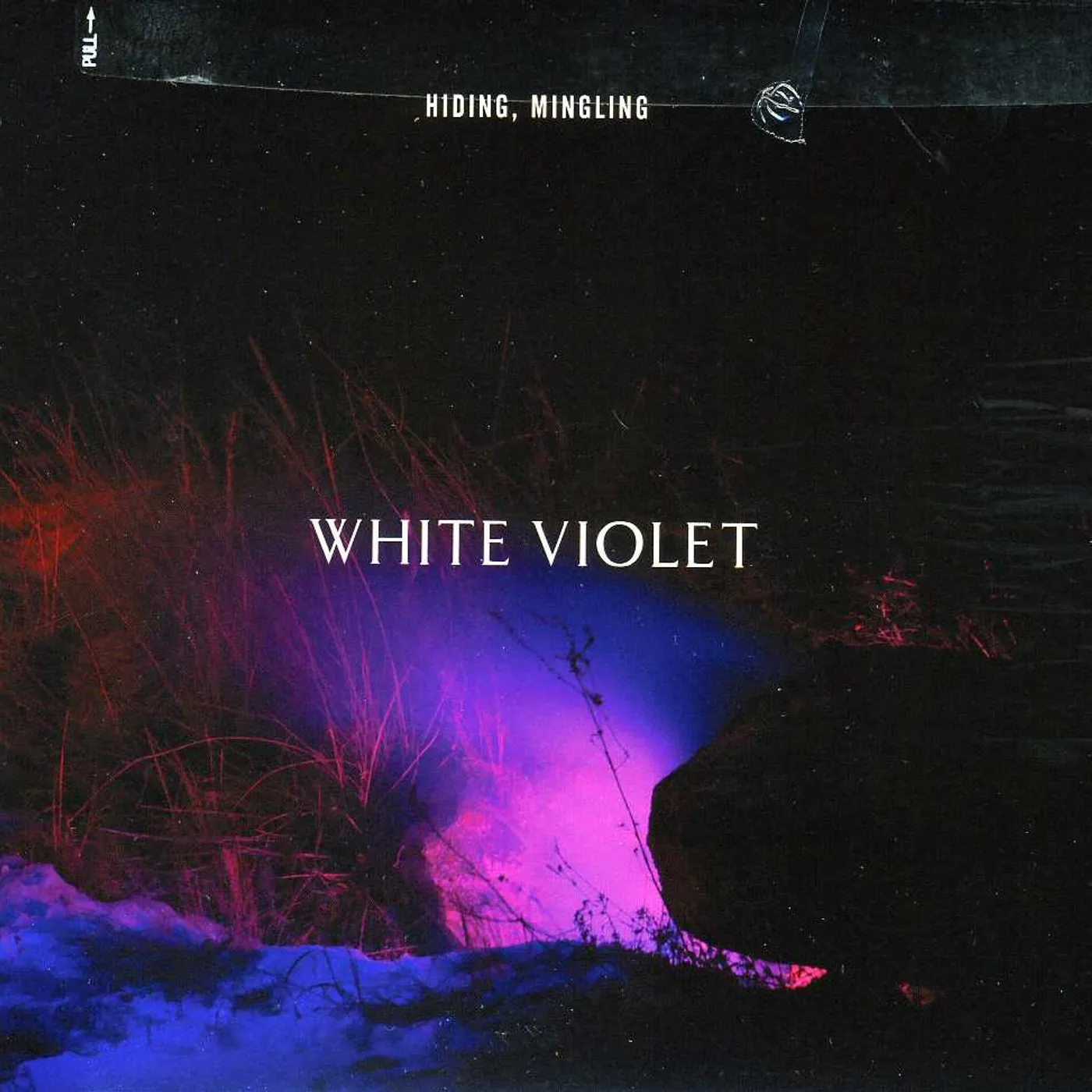 White Violet HIDING MINGLING CD