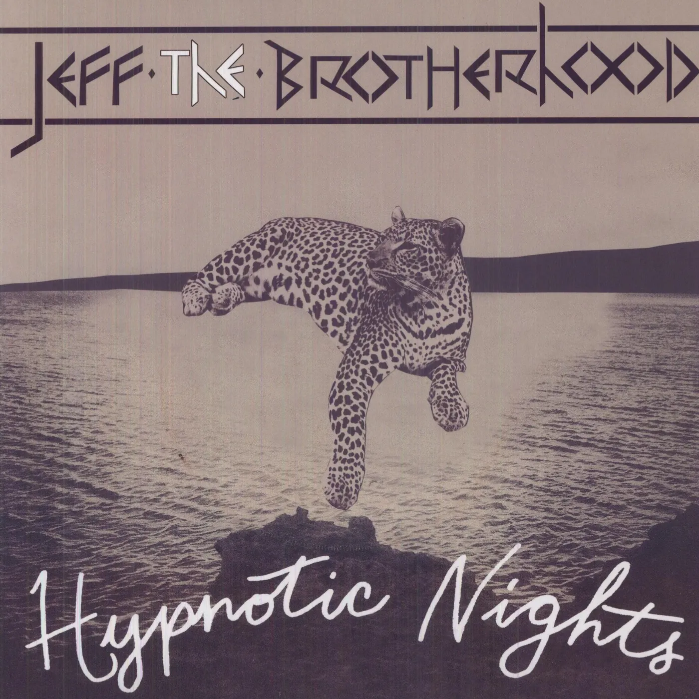 JEFF The Brotherhood Hypnotic Nights Vinyl Record
