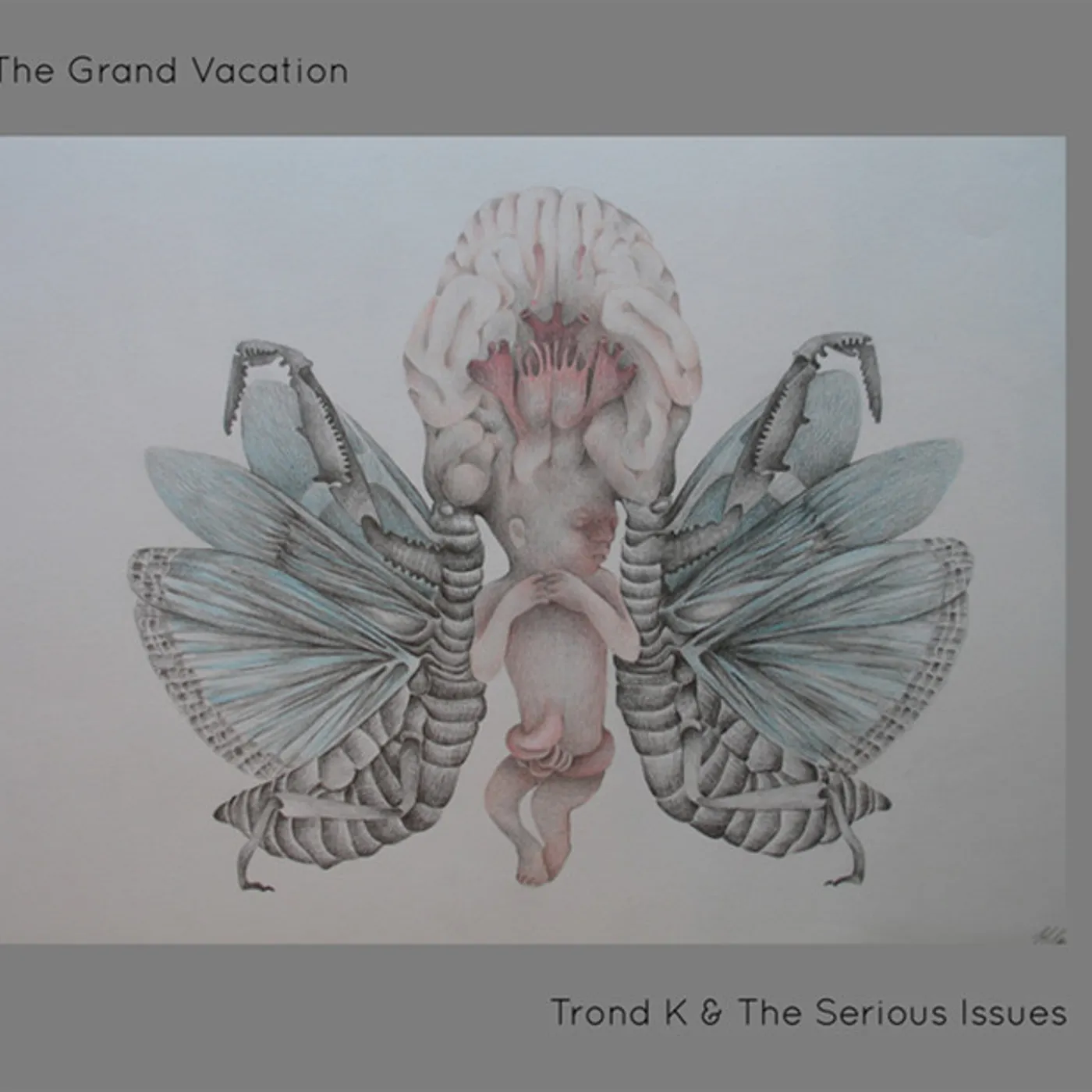 Trond K & The Serious Issues GRAND VACATION Vinyl Record