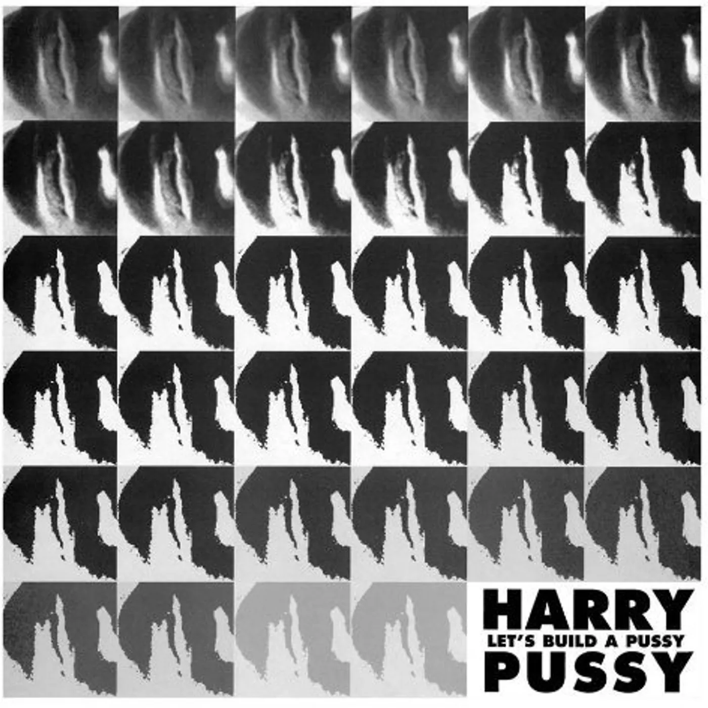 Harry Pussy LET'S BUILD A PUSSY (2LP) Vinyl Record