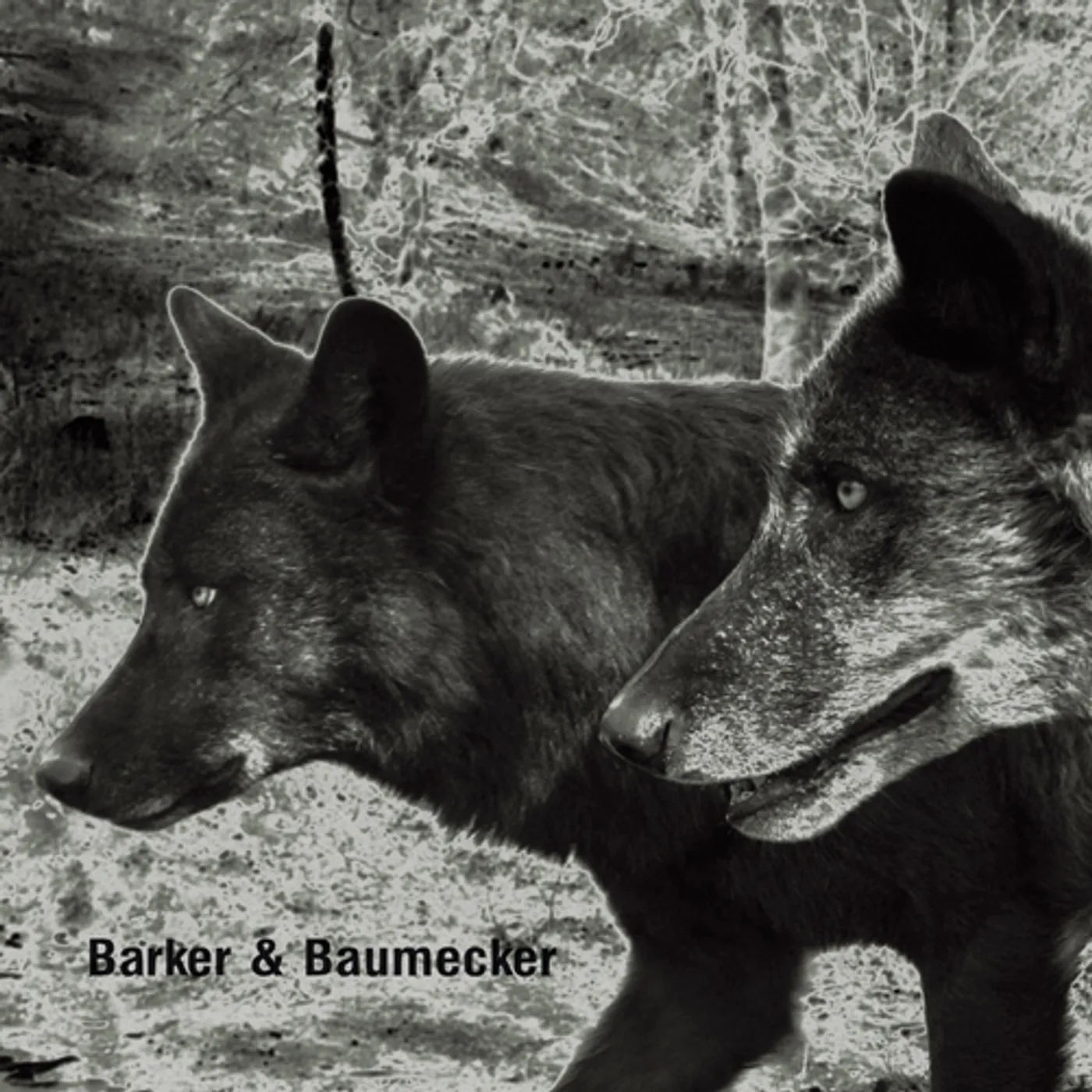 Barker & Baumecker TRANSSEKTORAL CD