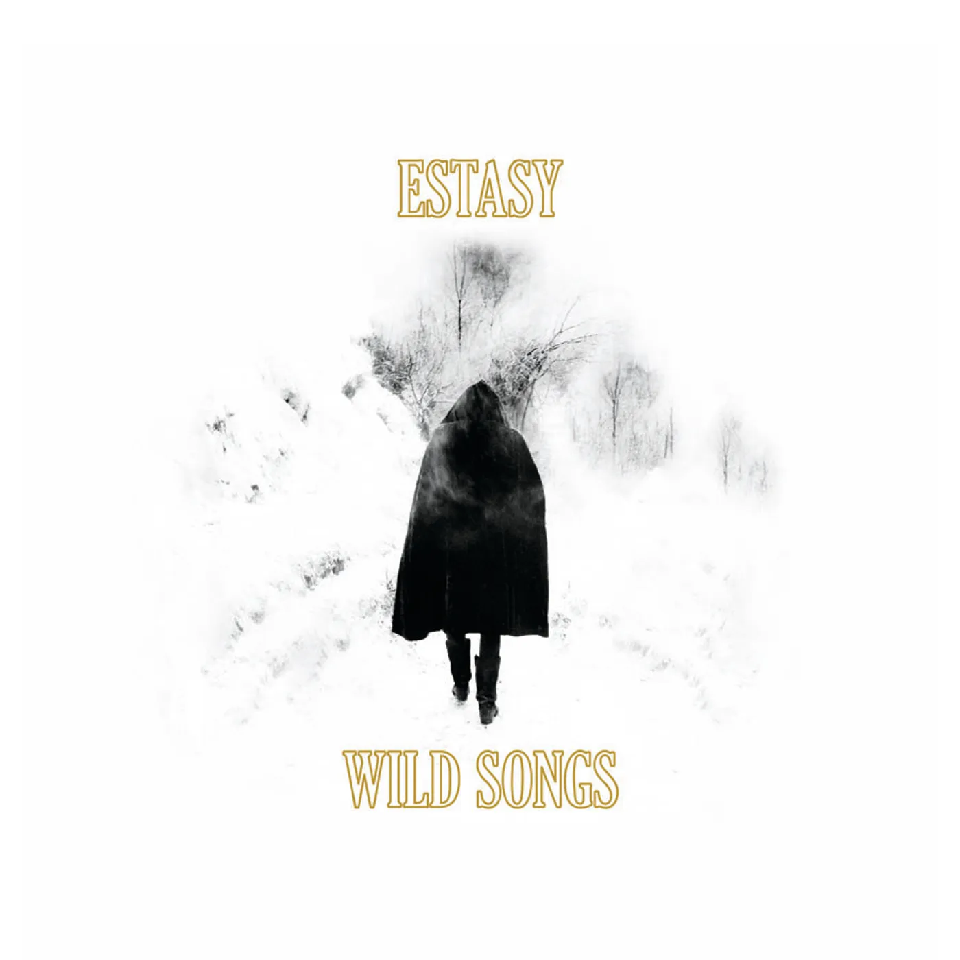Estasy Wild Songs Vinyl Record