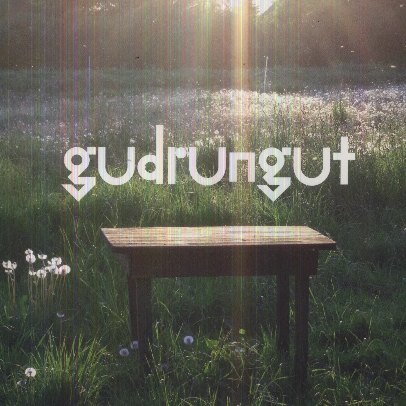 Gudrun Gut BEST GARDEN Vinyl Record