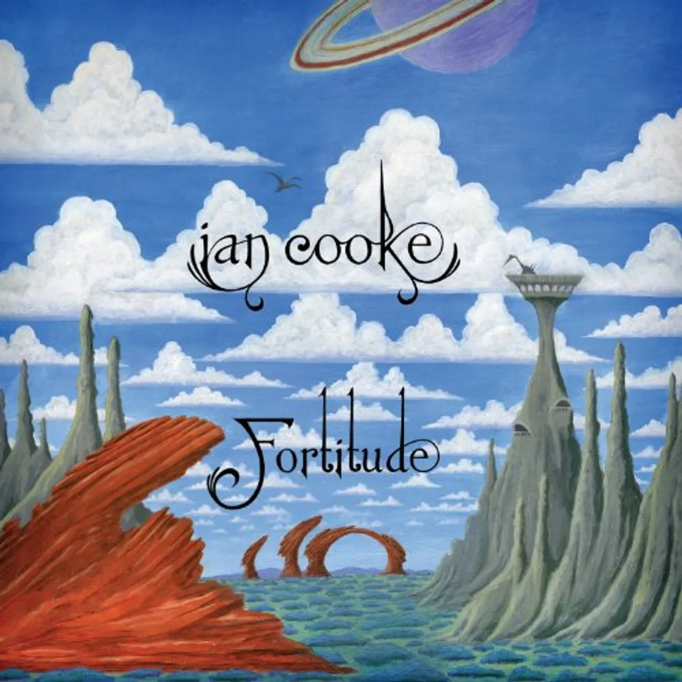 Ian Cooke Fortitude Vinyl Record