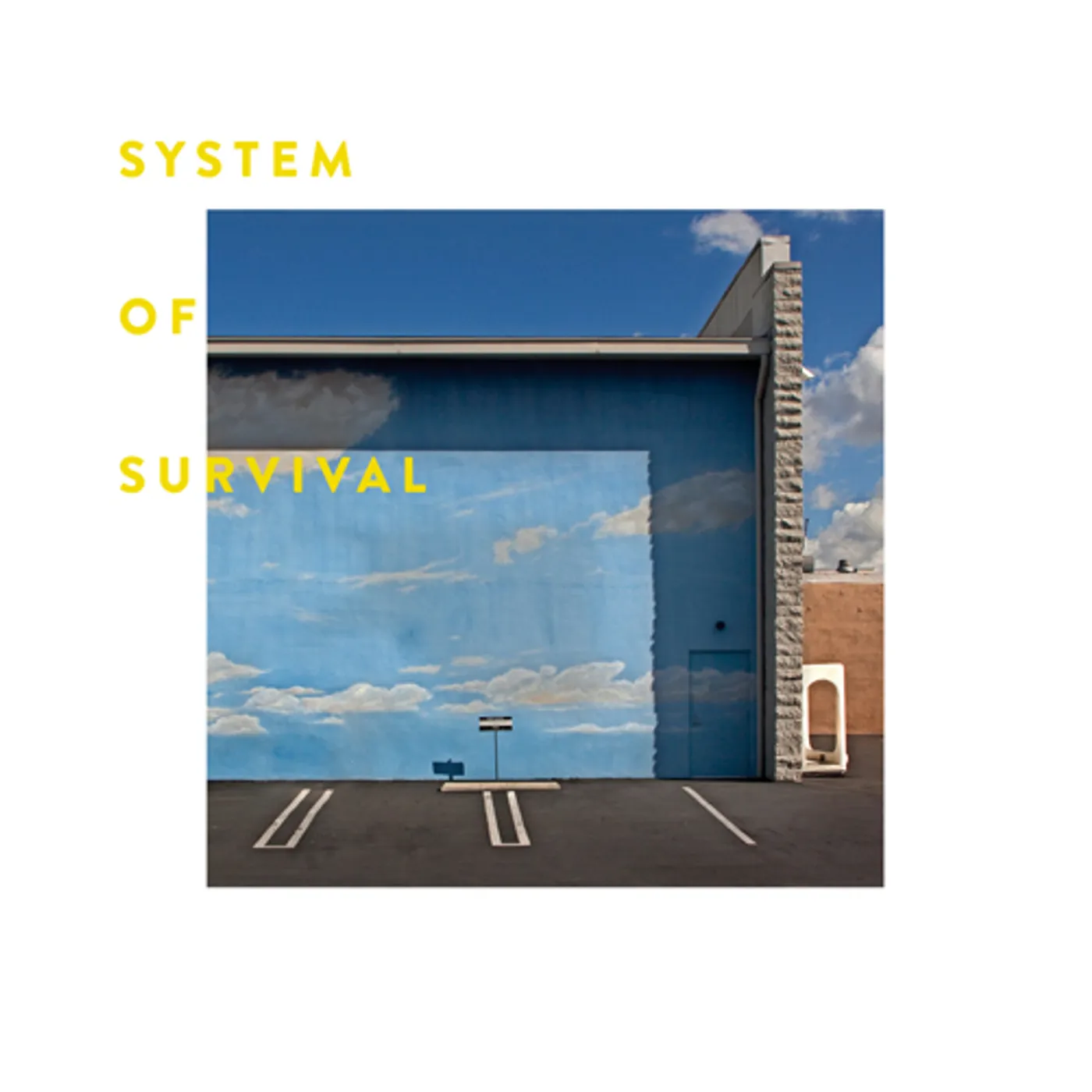 System Of Survival NEEDLE & THREAD CD
