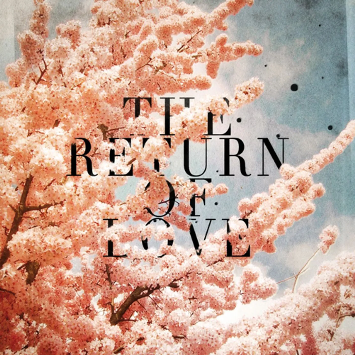 Woolfy vs Projections RETURN OF LOVE CD