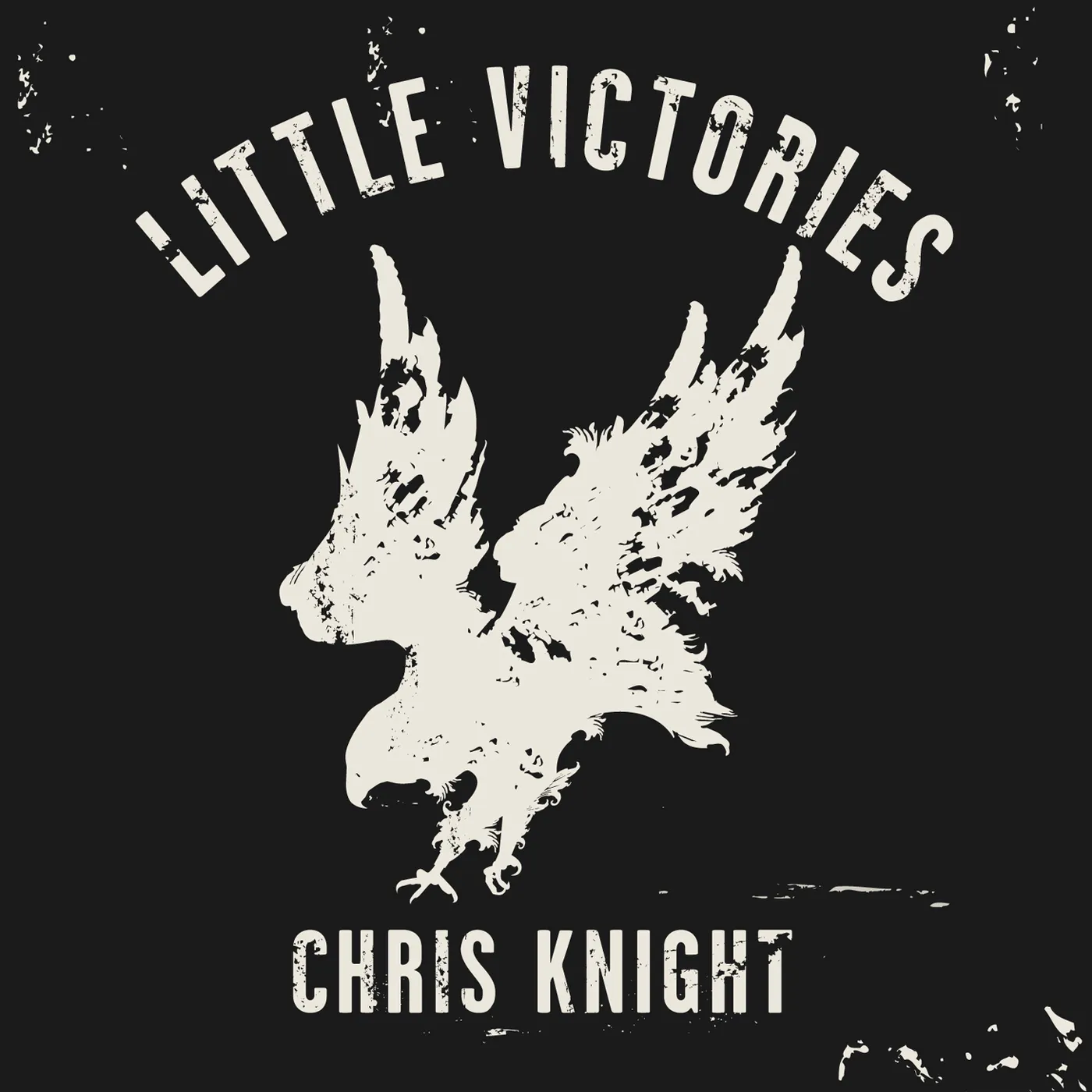 Chris Knight LITTLE VICTORIES CD