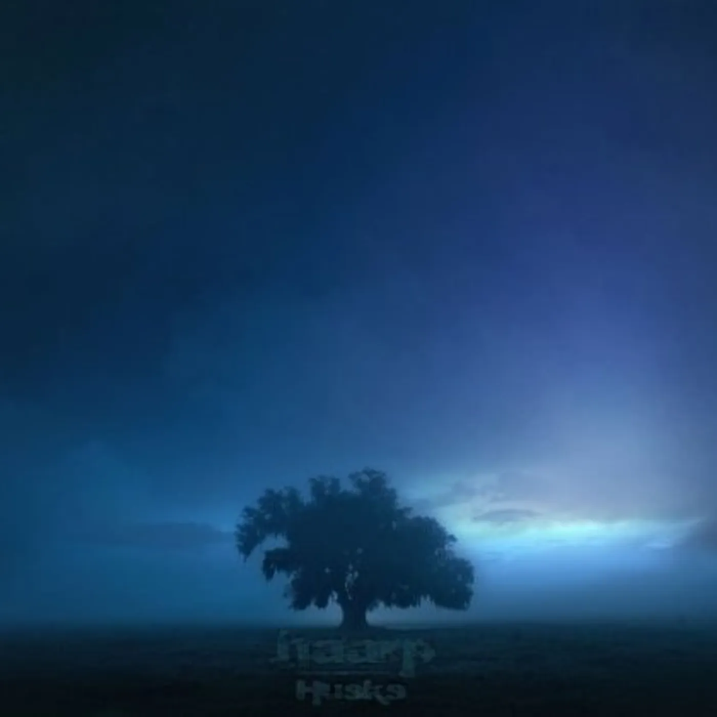 haarp HUSKS CD