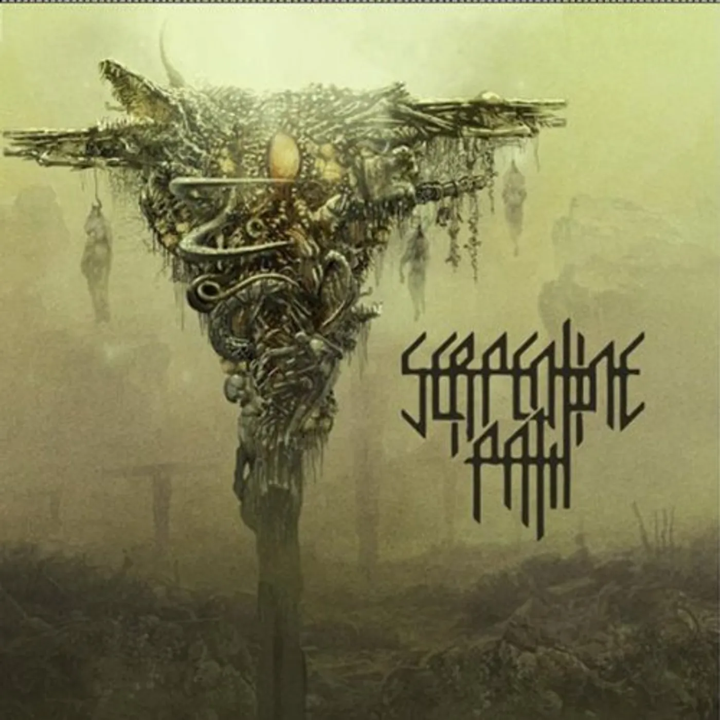 Serpentine Path Vinyl Record