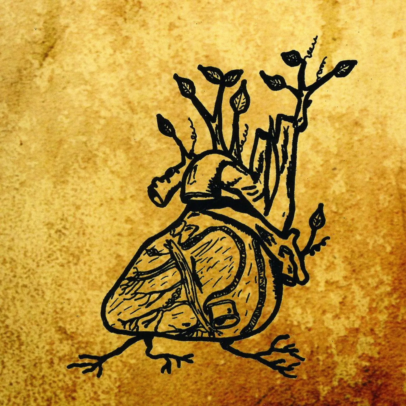 Ephemeral Sun HARVEST AORTA CD